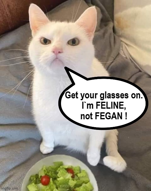 Not Fegan ! | Get your glasses on.
I`m FELINE,
not FEGAN ! | image tagged in feline | made w/ Imgflip meme maker
