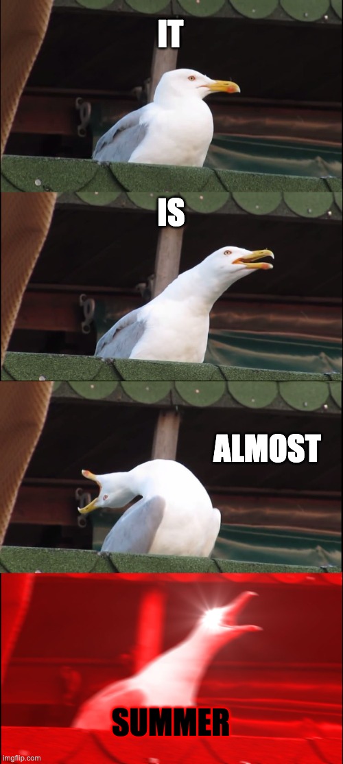 ima make your day better with 4 words | IT; IS; ALMOST; SUMMER | image tagged in memes,inhaling seagull,summer vacation | made w/ Imgflip meme maker