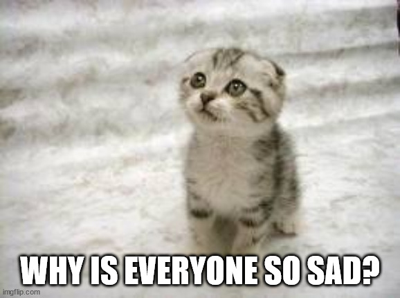 Sad Cat Meme | WHY IS EVERYONE SO SAD? | image tagged in memes,sad cat | made w/ Imgflip meme maker