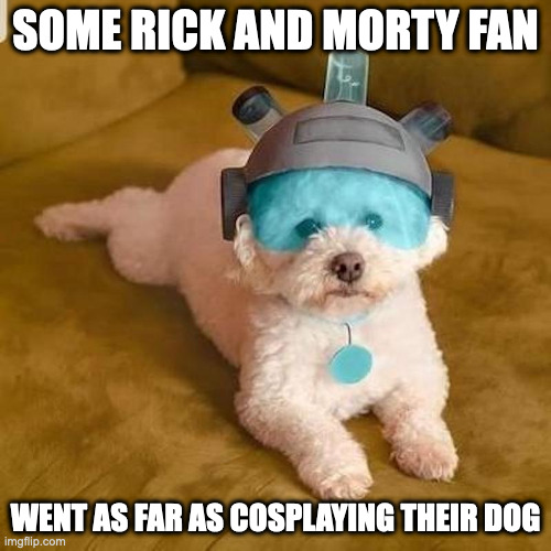 Rick and Morty Dog Cosplay | SOME RICK AND MORTY FAN; WENT AS FAR AS COSPLAYING THEIR DOG | image tagged in megaman,rick and morty,dogs,memes | made w/ Imgflip meme maker
