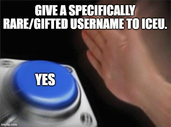 Idk | GIVE A SPECIFICALLY RARE/GIFTED USERNAME TO ICEU. YES | image tagged in memes,blank nut button | made w/ Imgflip meme maker