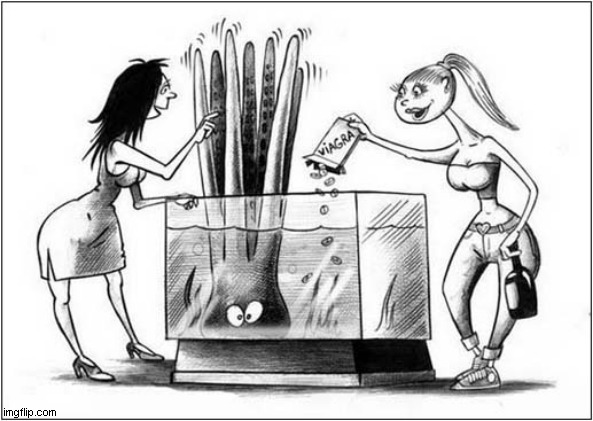 The Viagra Testing Laboratory | image tagged in viagra,testing,octopus,cartoon,dark humour | made w/ Imgflip meme maker