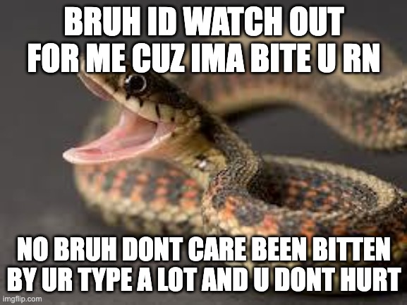 Warning Snake | BRUH ID WATCH OUT FOR ME CUZ IMA BITE U RN; NO BRUH DONT CARE BEEN BITTEN BY UR TYPE A LOT AND U DONT HURT | image tagged in warning snake | made w/ Imgflip meme maker