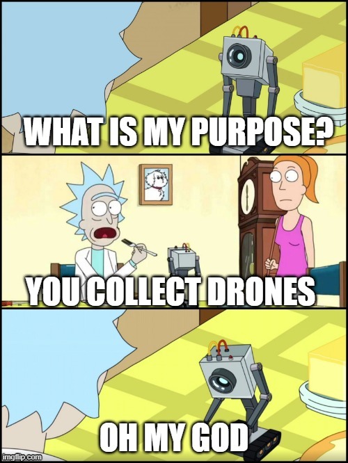 What is my purpose | YOU COLLECT DRONES | image tagged in what is my purpose,Crossout | made w/ Imgflip meme maker