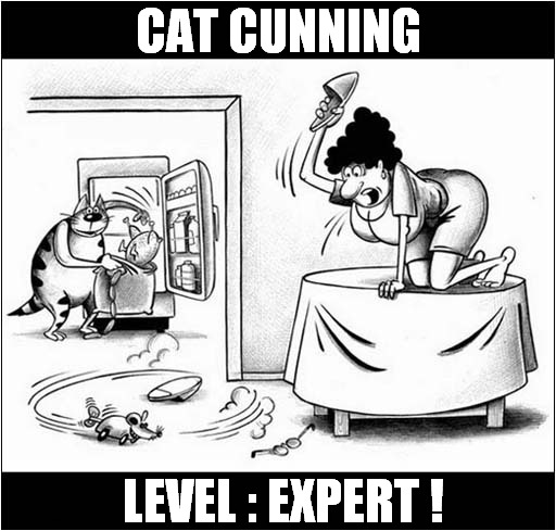 The Distraction Technique ! |  CAT CUNNING; LEVEL : EXPERT ! | image tagged in cats,distraction,stealing,cartoon | made w/ Imgflip meme maker
