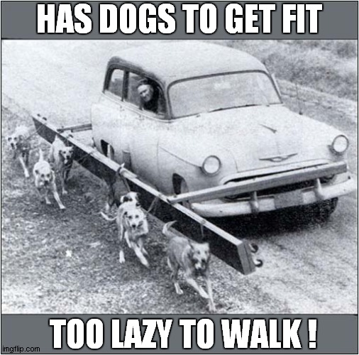 Disappointing Walkies ! | HAS DOGS TO GET FIT; TOO LAZY TO WALK ! | image tagged in dogs,walkies,lazy,owner | made w/ Imgflip meme maker