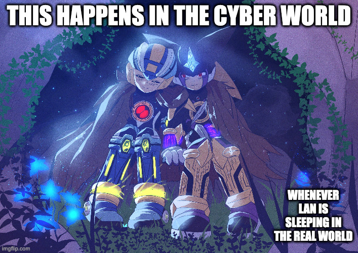 Megaman.EXE Sleeping With Bass.EXE | THIS HAPPENS IN THE CYBER WORLD; WHENEVER LAN IS SLEEPING IN THE REAL WORLD | image tagged in megaman,megaman battle network,memes | made w/ Imgflip meme maker