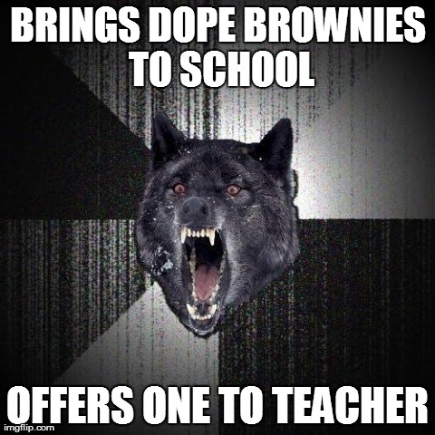 Insanity Wolf Meme | BRINGS DOPE BROWNIES TO SCHOOL OFFERS ONE TO TEACHER | image tagged in memes,insanity wolf | made w/ Imgflip meme maker