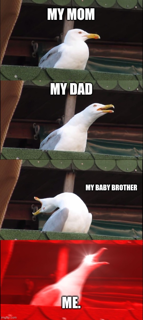 Inhaling Seagull Meme | MY MOM; MY DAD; MY BABY BROTHER; ME. | image tagged in memes,inhaling seagull | made w/ Imgflip meme maker