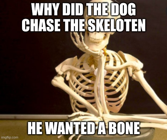 WHY DID THE DOG CHASE THE SKELOTEN; HE WANTED A BONE | image tagged in bad luck brian | made w/ Imgflip meme maker