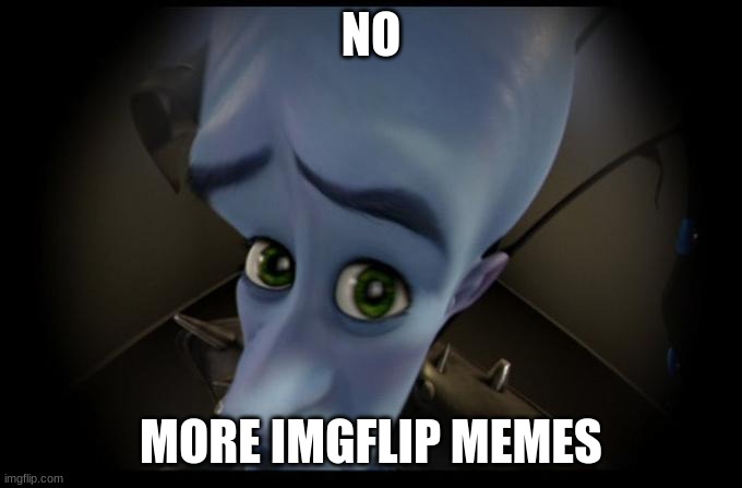 No B****es? | NO; MORE IMGFLIP MEMES | image tagged in no b es | made w/ Imgflip meme maker