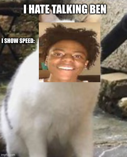 Beluga cat sus | I HATE TALKING BEN; I SHOW SPEED: | image tagged in beluga cat sus | made w/ Imgflip meme maker