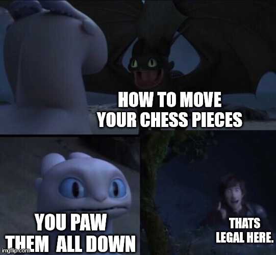 How to train your dragon 3 | HOW TO MOVE YOUR CHESS PIECES YOU PAW THEM  ALL DOWN THATS LEGAL HERE. | image tagged in how to train your dragon 3 | made w/ Imgflip meme maker