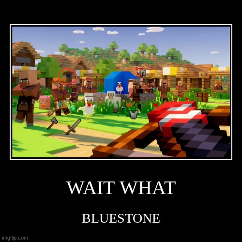 WAIT WHAT | BLUESTONE | image tagged in funny,demotivationals | made w/ Imgflip demotivational maker
