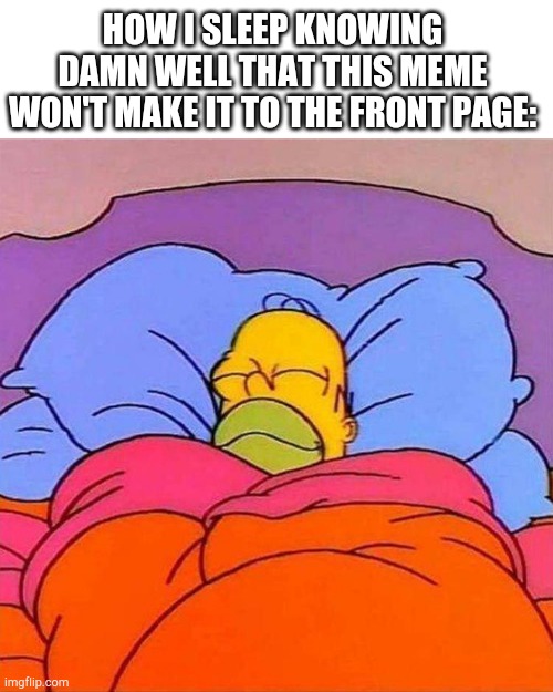 Prove me wrong | HOW I SLEEP KNOWING DAMN WELL THAT THIS MEME WON'T MAKE IT TO THE FRONT PAGE: | image tagged in homer napping,front page,sleeping,sleep,barney will eat all of your delectable biscuits | made w/ Imgflip meme maker