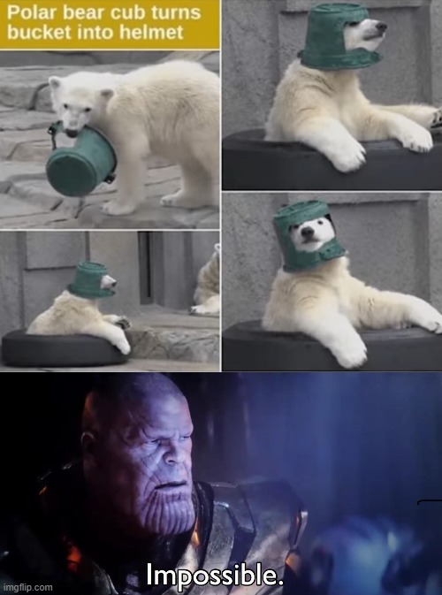 image tagged in thanos impossible | made w/ Imgflip meme maker