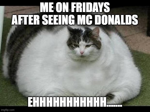 fat cat 2 | ME ON FRIDAYS AFTER SEEING MC DONALDS; EHHHHHHHHHHH....... | image tagged in fat cat 2 | made w/ Imgflip meme maker