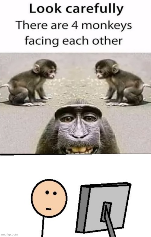 Meme - Look three monkey are facing each other