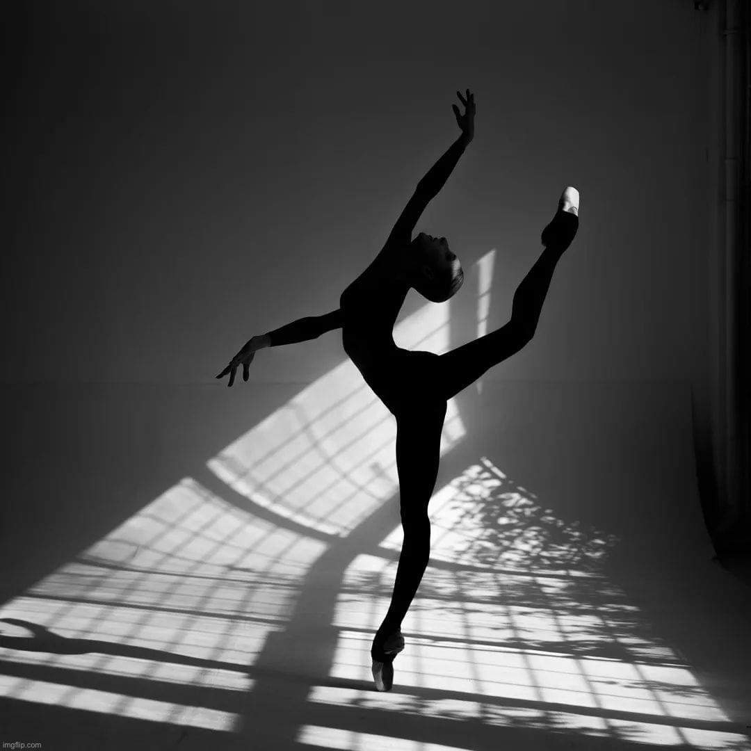 Shadowy ballerina | image tagged in shadowy ballerina | made w/ Imgflip meme maker