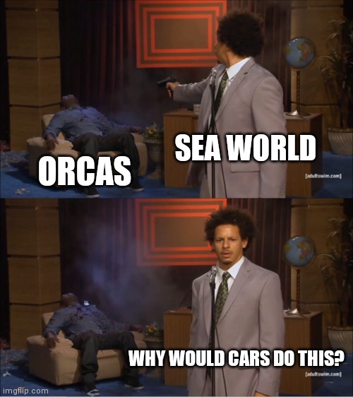 Who Killed Hannibal Meme | SEA WORLD; ORCAS; WHY WOULD CARS DO THIS? | image tagged in memes,who killed hannibal | made w/ Imgflip meme maker