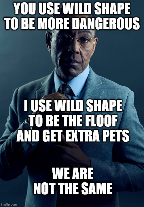 Gus Fring we are not the same | YOU USE WILD SHAPE TO BE MORE DANGEROUS; I USE WILD SHAPE TO BE THE FLOOF AND GET EXTRA PETS; WE ARE NOT THE SAME | image tagged in gus fring we are not the same,dndmemes | made w/ Imgflip meme maker