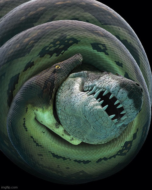 a nope from the past: titanoboa, the largest snake ever (I will post more) | made w/ Imgflip meme maker