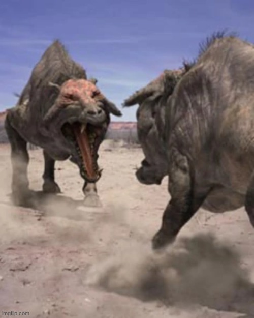 a nope from the past: entelodon, back when pigs ate us | made w/ Imgflip meme maker