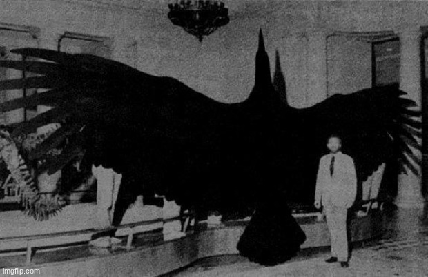 a nope from the past: the thunderbird, an absolute unit of a bird | made w/ Imgflip meme maker