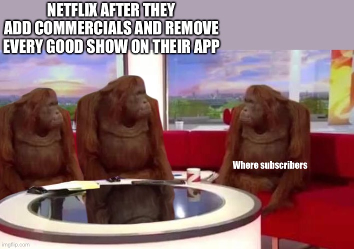 where monkey | NETFLIX AFTER THEY ADD COMMERCIALS AND REMOVE EVERY GOOD SHOW ON THEIR APP; Where subscribers | image tagged in where monkey | made w/ Imgflip meme maker