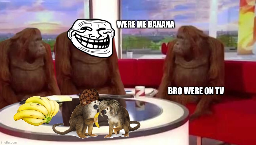 where monkey | WERE ME BANANA; BRO WERE ON TV | image tagged in where monkey | made w/ Imgflip meme maker