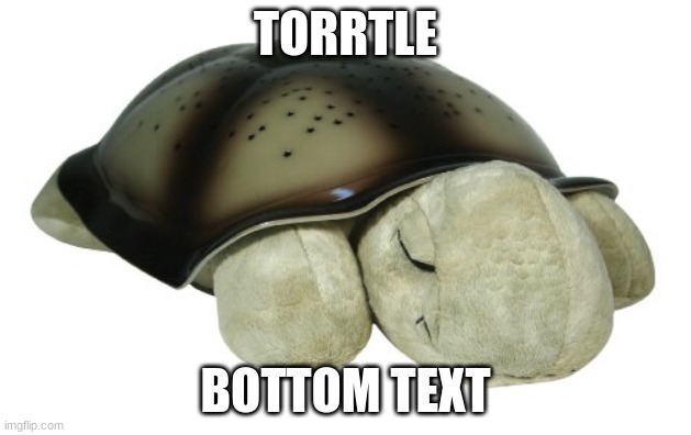 Torrtle | TORRTLE; BOTTOM TEXT | image tagged in torrtle,turtle | made w/ Imgflip meme maker