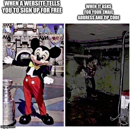 ITS AN OUTTAGE | WHEN A WEBSITE TELLS YOU TO SIGN UP FOR FREE; WHEN IT ASKS FOR YOUR EMAIL ADDRESS AND ZIP CODE | image tagged in mickey good bad,whytho | made w/ Imgflip meme maker