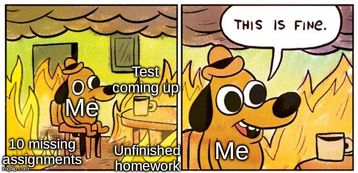 This Is Fine Meme | Test coming up; Me; Me; 10 missing assignments; Unfinished homework | image tagged in memes,this is fine | made w/ Imgflip meme maker