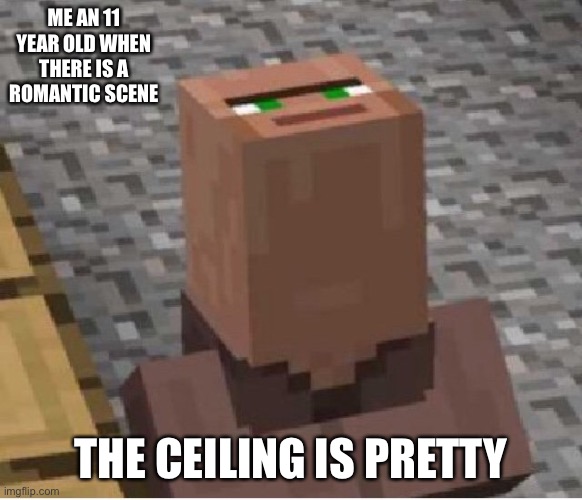 Minecraft Villager Looking Up | ME AN 11 YEAR OLD WHEN THERE IS A ROMANTIC SCENE THE CEILING IS PRETTY | image tagged in minecraft villager looking up | made w/ Imgflip meme maker