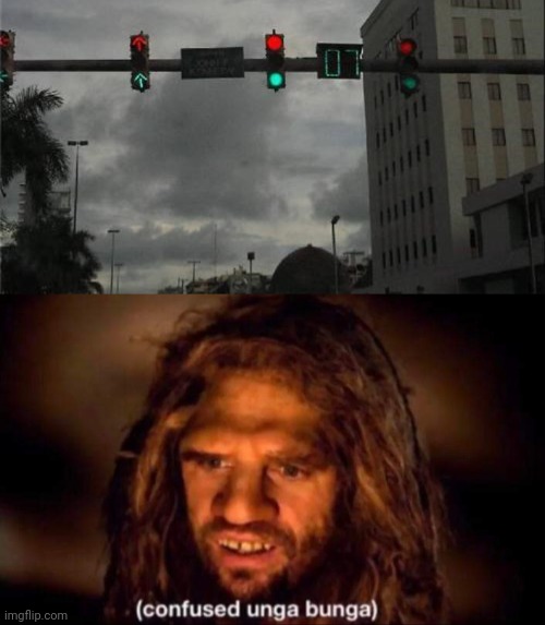 Red light green light | image tagged in confused unga bunga,traffic light,traffic lights,you had one job,memes,meme | made w/ Imgflip meme maker