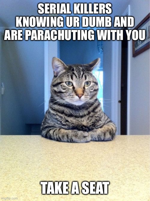 Take A Seat Cat Meme | SERIAL KILLERS KNOWING UR DUMB AND ARE PARACHUTING WITH YOU TAKE A SEAT | image tagged in memes,take a seat cat | made w/ Imgflip meme maker