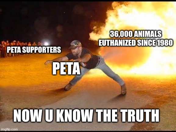 the truth about peta | 36,000 ANIMALS EUTHANIZED SINCE 1980; PETA SUPPORTERS; PETA; NOW U KNOW THE TRUTH | made w/ Imgflip meme maker