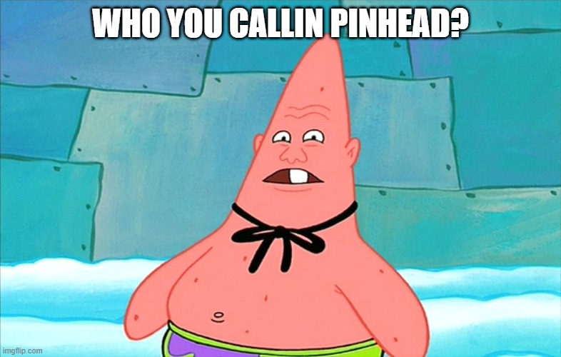 pin head patrick | WHO YOU CALLIN PINHEAD? | image tagged in pin head patrick | made w/ Imgflip meme maker