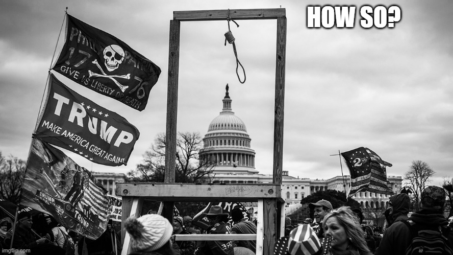 Noose at the Capitol | HOW SO? | image tagged in noose at the capitol | made w/ Imgflip meme maker