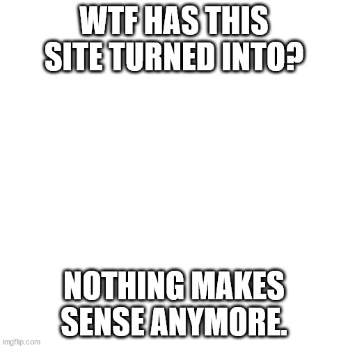 Blank Transparent Square | WTF HAS THIS SITE TURNED INTO? NOTHING MAKES SENSE ANYMORE. | image tagged in imgflip sucks,msmg suck,hopefully capto doesnt,ruin everything | made w/ Imgflip meme maker