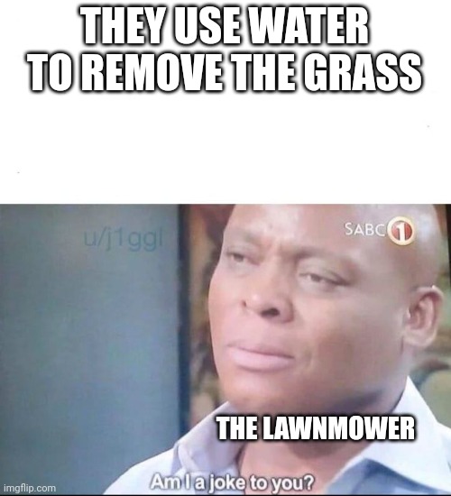 What's with the lawnmower? | THEY USE WATER TO REMOVE THE GRASS; THE LAWNMOWER | image tagged in am i a joke to you,memes,funny,minecraft | made w/ Imgflip meme maker