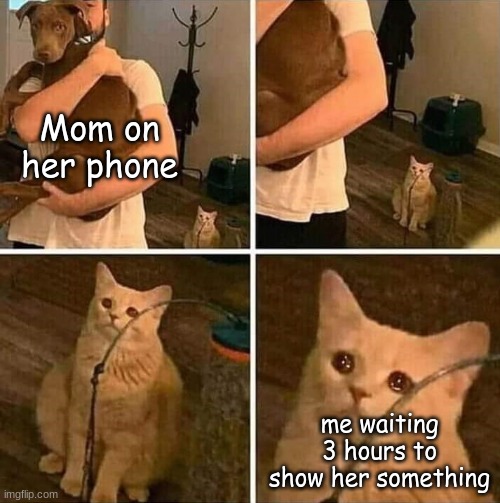 why | Mom on her phone; me waiting 3 hours to show her something | image tagged in ignored cat | made w/ Imgflip meme maker