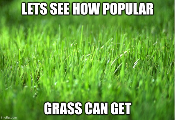 grass is greener | LETS SEE HOW POPULAR; GRASS CAN GET | image tagged in grass is greener | made w/ Imgflip meme maker