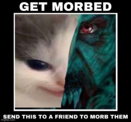 Get morbed | image tagged in get morbed | made w/ Imgflip meme maker