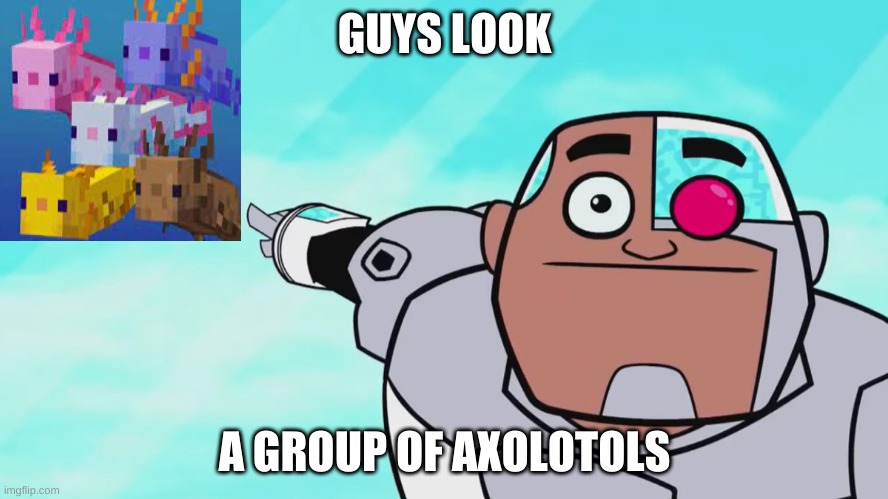 Guys look, a birdie | GUYS LOOK; A GROUP OF AXOLOTOLS | image tagged in guys look a birdie | made w/ Imgflip meme maker