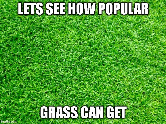 Grass | image tagged in grass | made w/ Imgflip meme maker