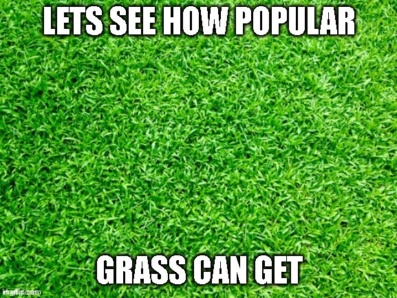 Grass Imgflip 1969