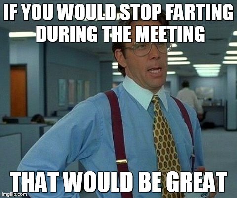 That Would Be Great | IF YOU WOULD STOP FARTING DURING THE MEETING THAT WOULD BE GREAT | image tagged in memes,that would be great | made w/ Imgflip meme maker