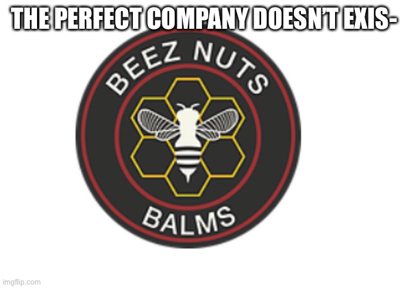 THE PERFECT COMPANY DOESN’T EXIS- | made w/ Imgflip meme maker