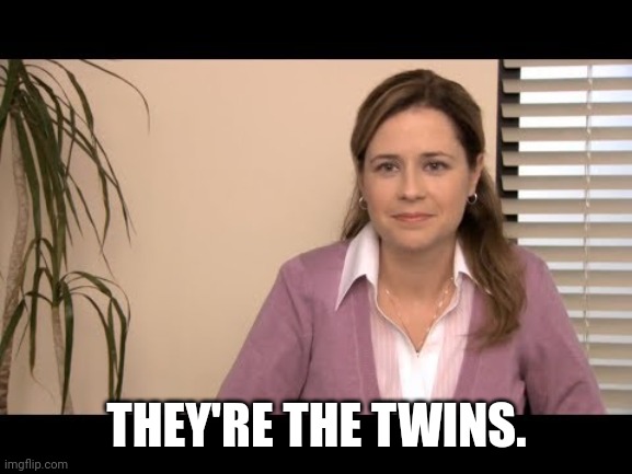They're the same picture | THEY'RE THE TWINS. | image tagged in they're the same picture | made w/ Imgflip meme maker